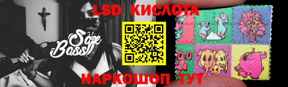 blacksprut как зайти  Вход с VPN  Серов  Лсд 25 экстази кислота 