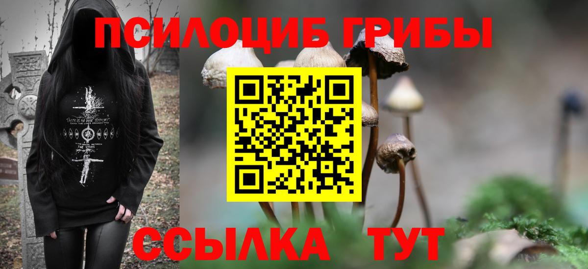 Серов  Галлюциногенные грибы Magic Shrooms  Вход с VPN 